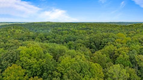 0 Baptist Branch Road, E Mount Pleasant TN 38474