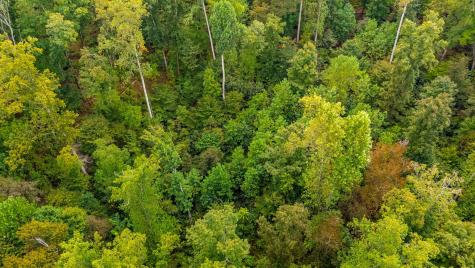 0 Baptist Branch Road, E Mount Pleasant TN 38474