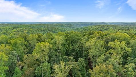 0 Baptist Branch Road, E Mount Pleasant TN 38474