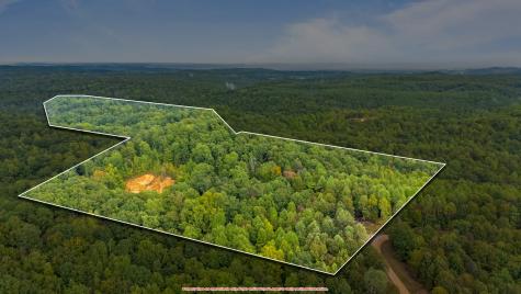 0 Baptist Branch Road, E Mount Pleasant TN 38474