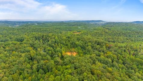 0 Baptist Branch Road, E Mount Pleasant TN 38474