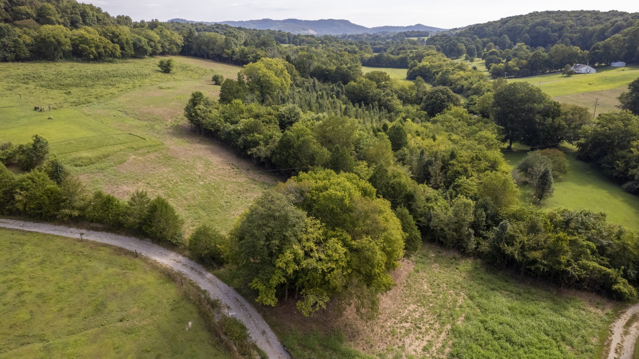 0 Badger Lane Carthage TN 37030