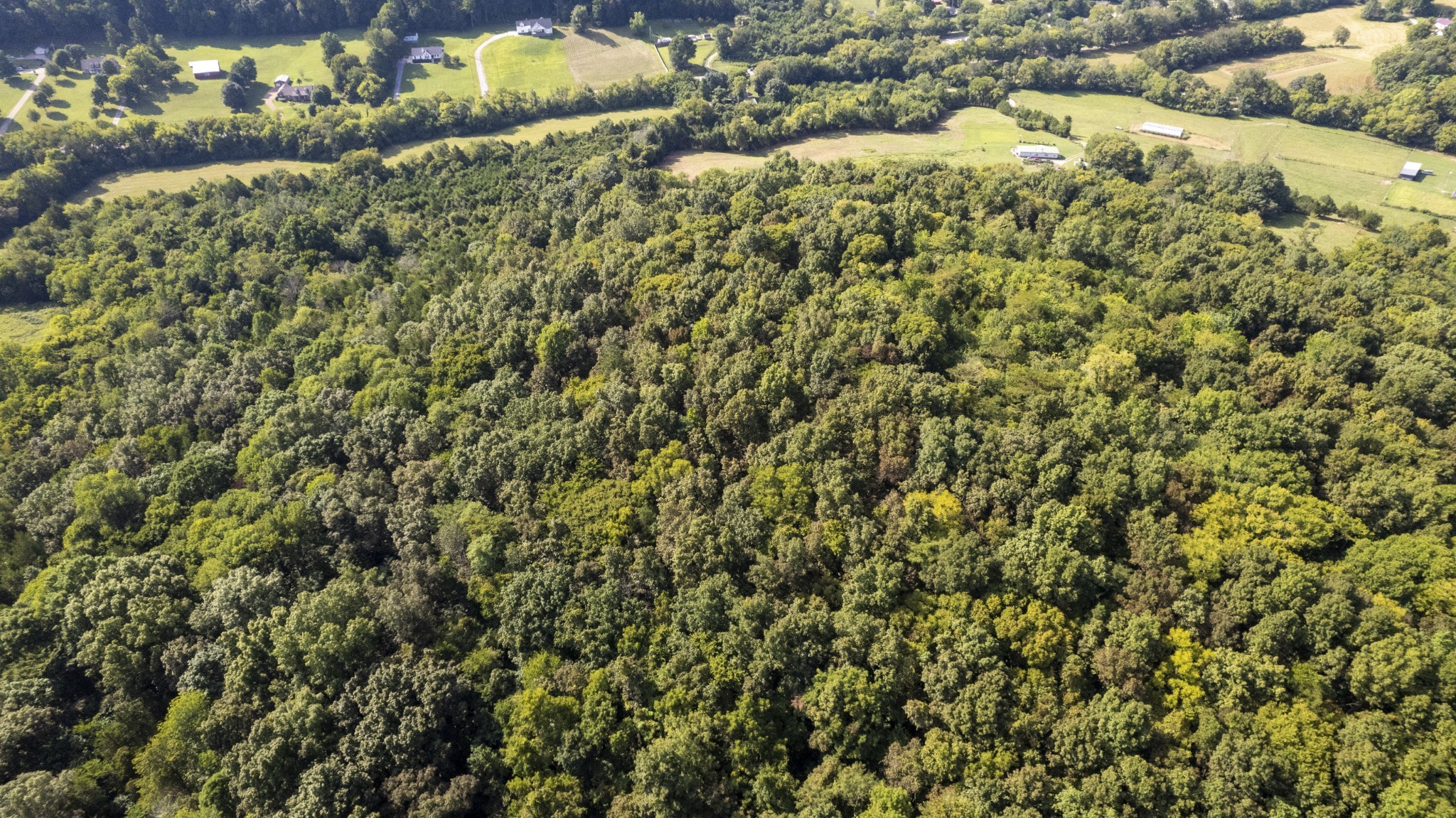 0 Badger Lane Carthage TN 37030