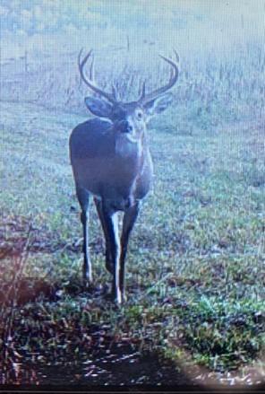 638 Turney Road Auburntown TN 37016