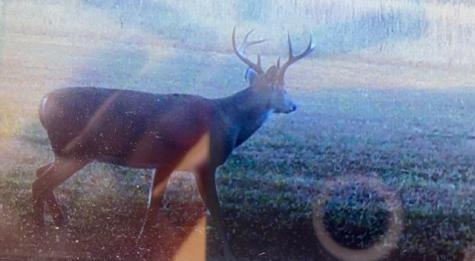 638 Turney Road Auburntown TN 37016