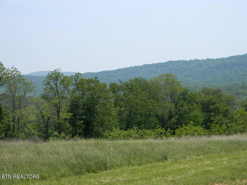 0 Houston Drive Crossville TN 38555