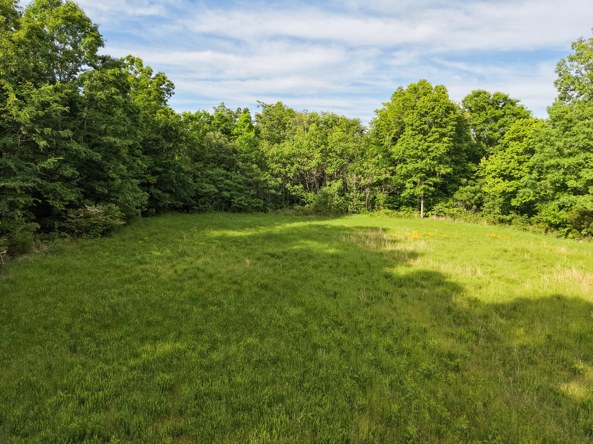 0 Brock Road Charlotte TN 37036