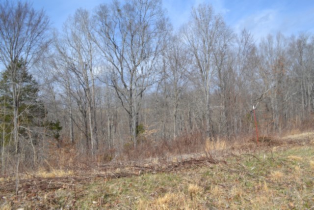 0 Hush Hollow Lane Baxter TN 38544