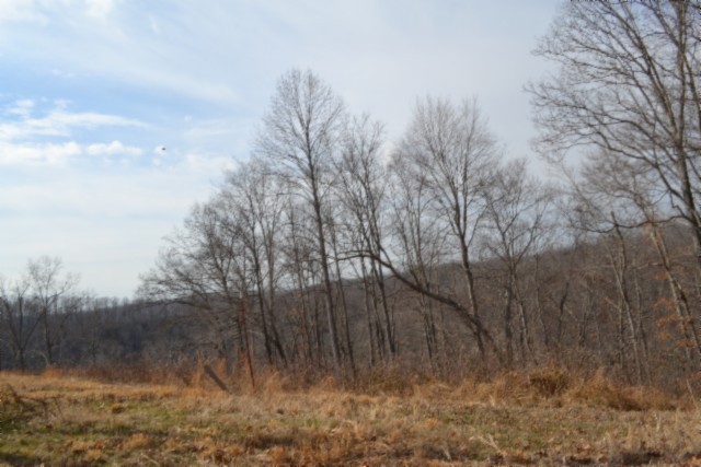 0 Hush Hollow Lane Baxter TN 38544