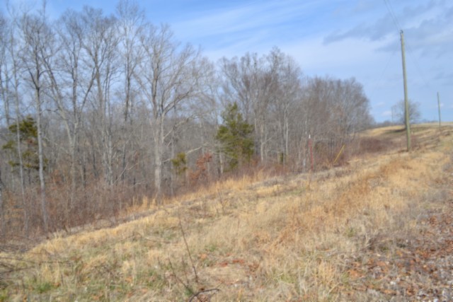 0 Hush Hollow Lane Baxter TN 38544