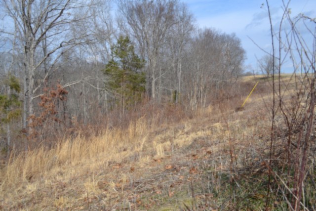 0 Hush Hollow Lane Baxter TN 38544