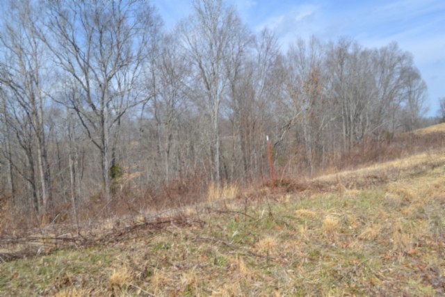 0 Hush Hollow Lane Baxter TN 38544