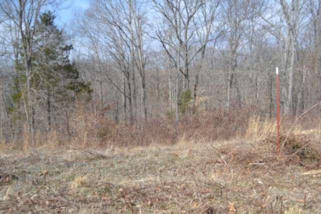 0 Hush Hollow Lane Baxter TN 38544