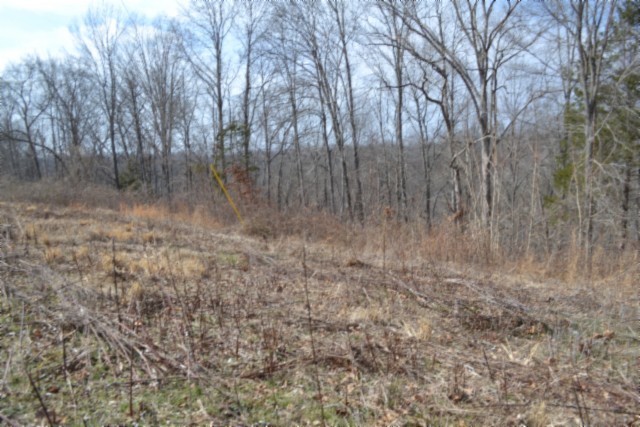 0 Hush Hollow Lane Baxter TN 38544