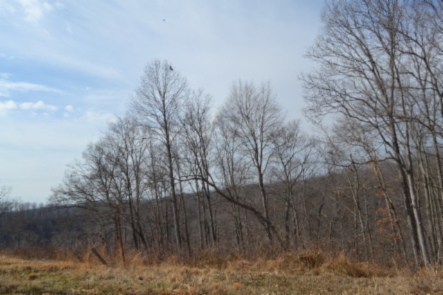 0 Hush Hollow Lane Baxter TN 38544