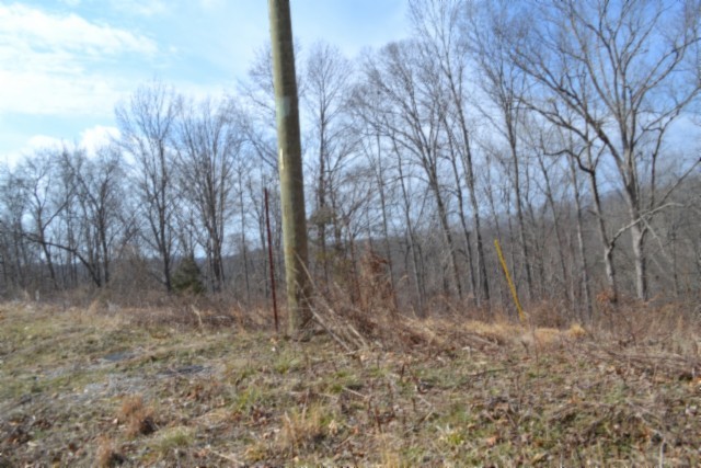 0 Hush Hollow Lane Baxter TN 38544