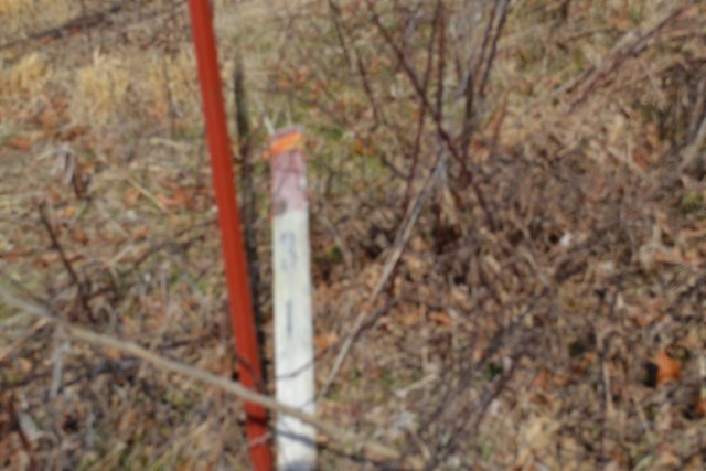 0 Hush Hollow Lane Baxter TN 38544