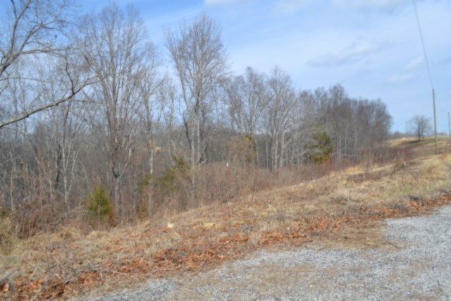 0 Hush Hollow Lane Baxter TN 38544