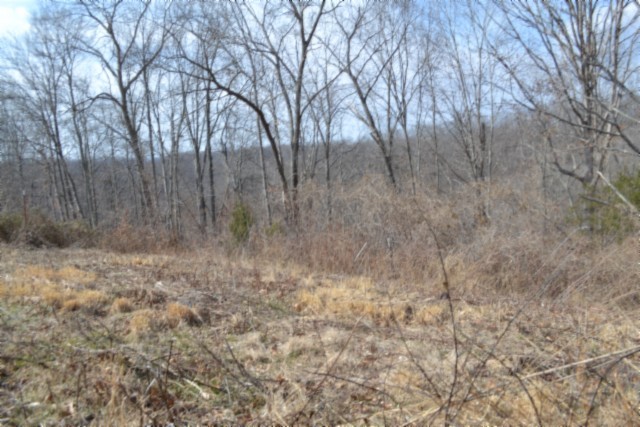 0 Hush Hollow Lane Baxter TN 38544