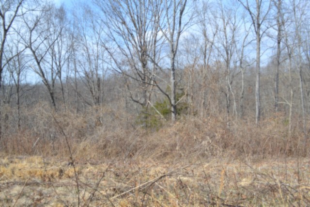 0 Hush Hollow Lane Baxter TN 38544