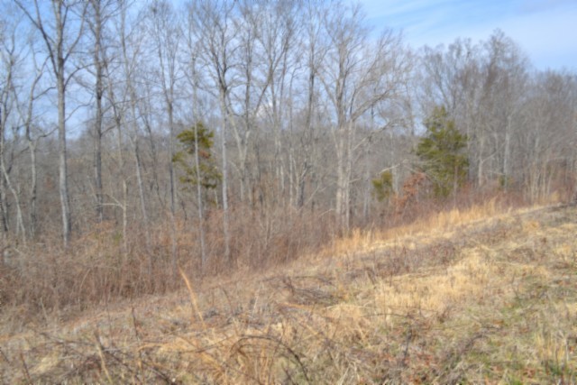 0 Hush Hollow Lane Baxter TN 38544