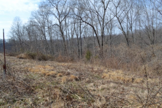 0 Hush Hollow Lane Baxter TN 38544
