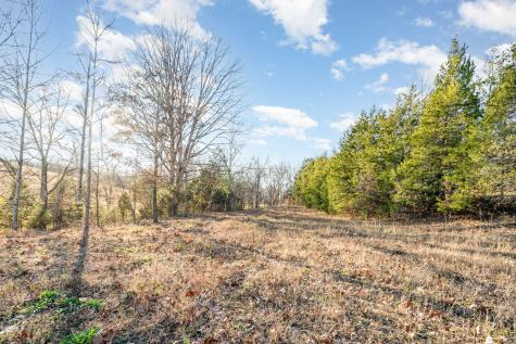 0 Maple Valley Road Cumberland Furnace TN 37051