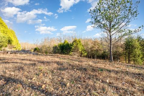 0 Maple Valley Road Cumberland Furnace TN 37051