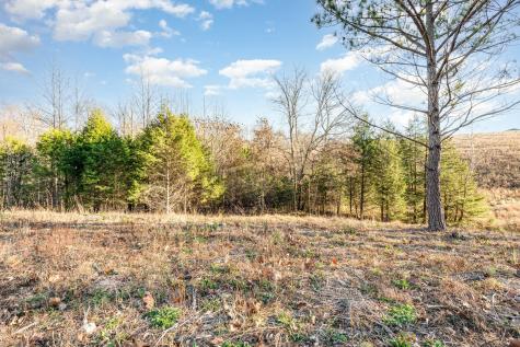 0 Maple Valley Road Cumberland Furnace TN 37051