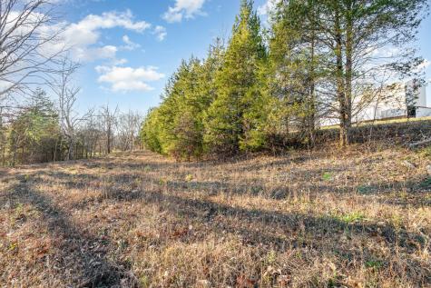 0 Maple Valley Road Cumberland Furnace TN 37051