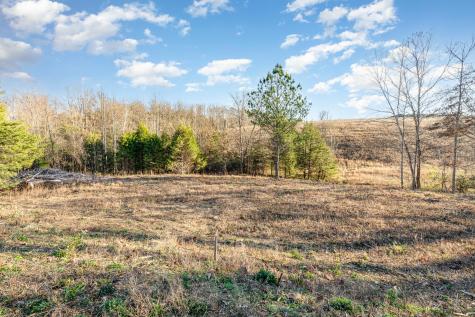 0 Maple Valley Road Cumberland Furnace TN 37051