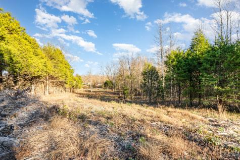 0 Maple Valley Road Cumberland Furnace TN 37051