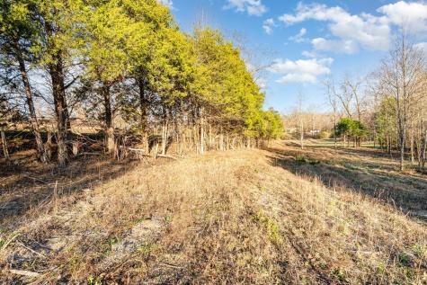 0 Maple Valley Road Cumberland Furnace TN 37051