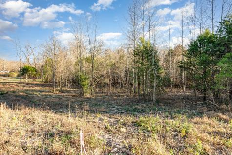 0 Maple Valley Road Cumberland Furnace TN 37051