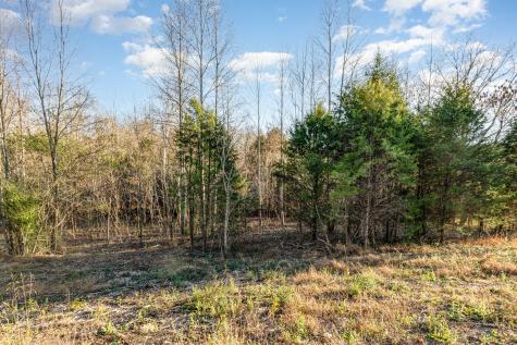 0 Maple Valley Road Cumberland Furnace TN 37051