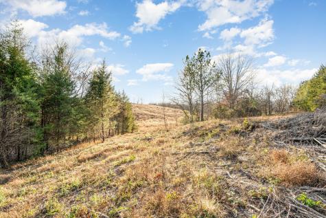0 Maple Valley Road Cumberland Furnace TN 37051