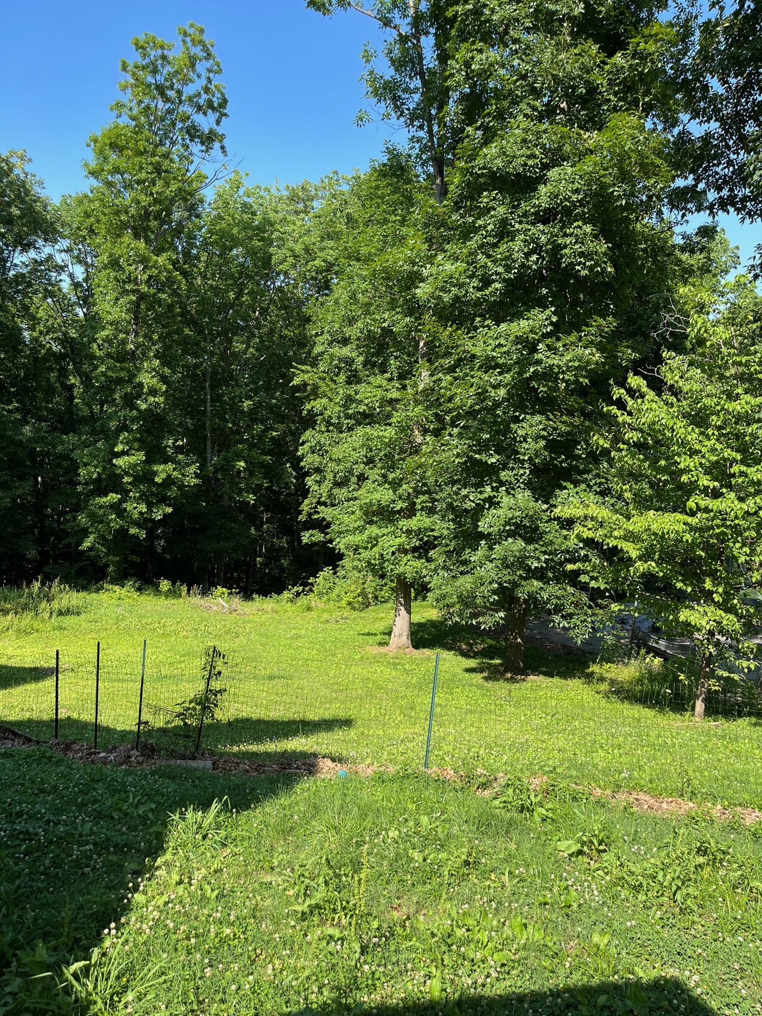 933 Bluff Road Brentwood TN 37027