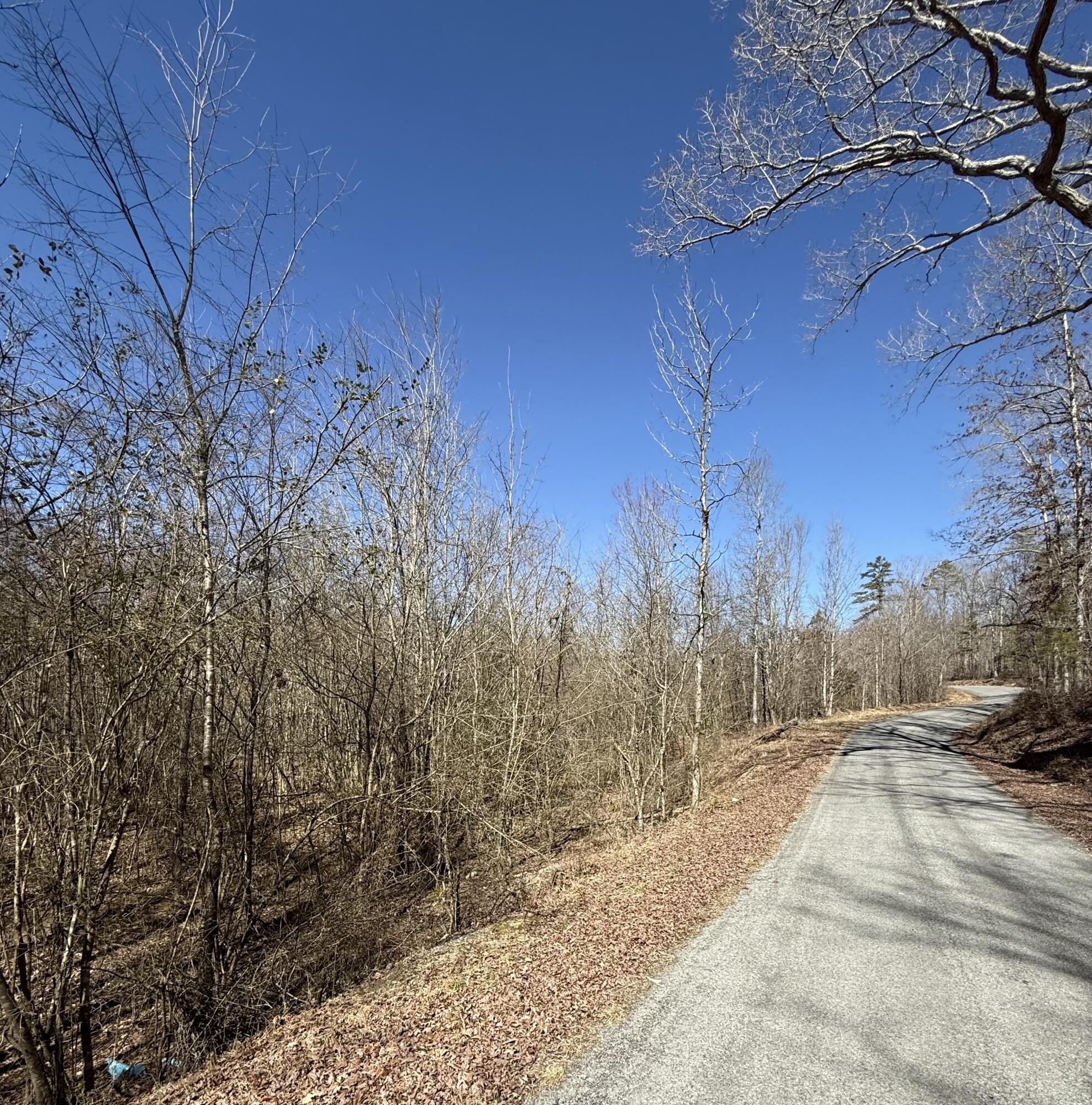 0 Will Allen Road Decatur TN 37322