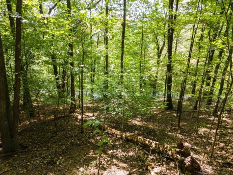 2311 Blue Branch Road Lynnville TN 38472