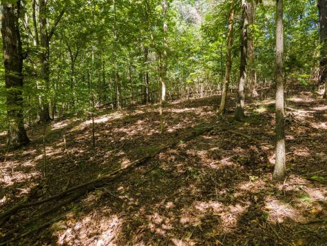 2311 Blue Branch Road Lynnville TN 38472