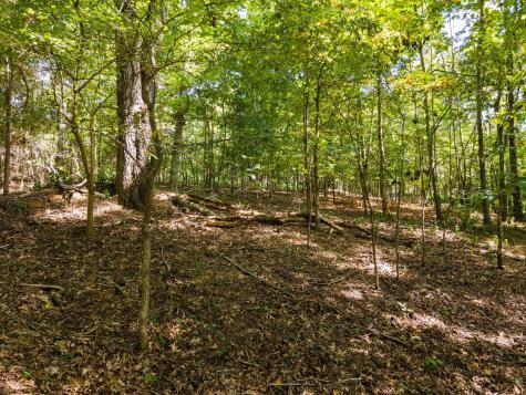 2311 Blue Branch Road Lynnville TN 38472