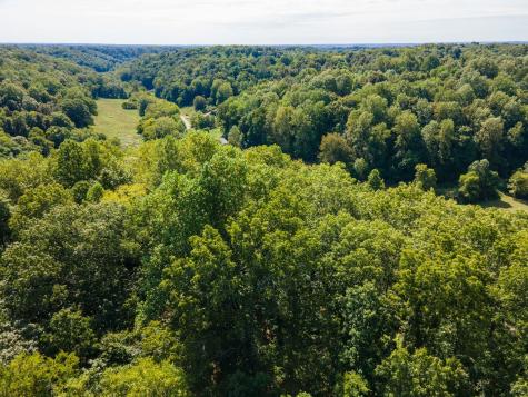 2311 Blue Branch Road Lynnville TN 38472