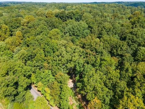 2311 Blue Branch Road Lynnville TN 38472