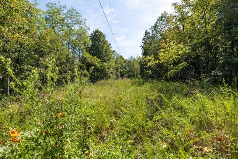 2311 Blue Branch Road Lynnville TN 38472