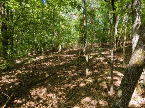 2311 Blue Branch Road Lynnville TN 38472