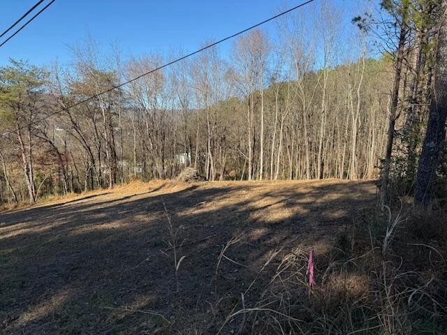 22 Moon Circle Spring City TN 37381