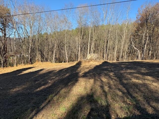 22 Moon Circle Spring City TN 37381