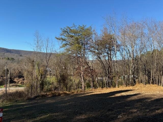 22 Moon Circle Spring City TN 37381