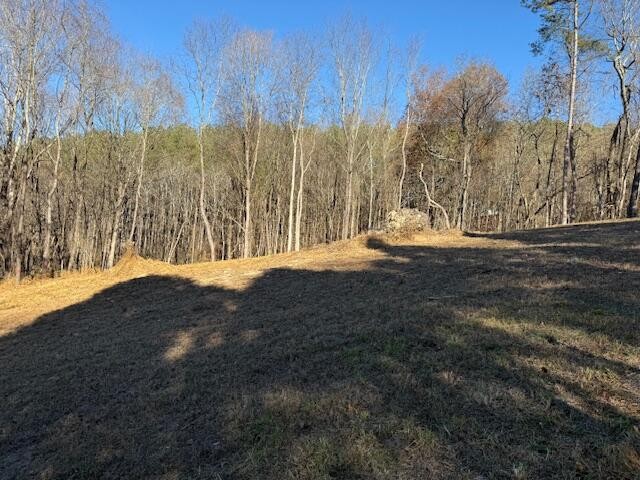 22 Moon Circle Spring City TN 37381
