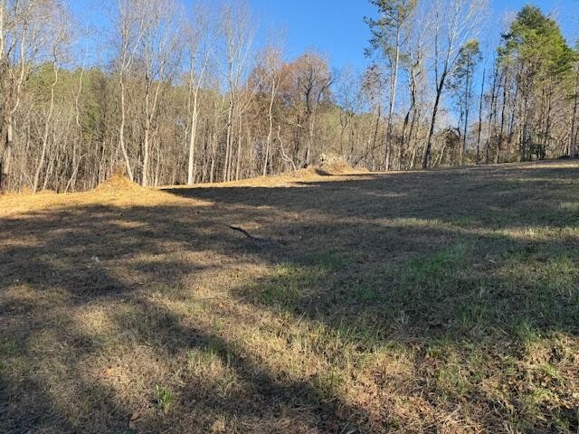 22 Moon Circle Spring City TN 37381